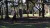20140322-2_163907-frame0004.jpg