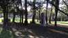 20140322-2_163907-frame0008.jpg