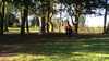 20140322-2_163907-frame0010.jpg
