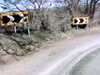 20140419-PICT0409-frame0002.jpg