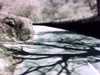 20140419-PICT0410-frame0002.jpg