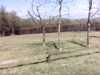 20140420-PICT0414-frame0002.jpg