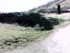 20140420-PICT0425-frame0001.jpg