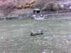 20140420-PICT0426-frame0001.jpg