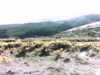20140420-PICT0440-frame0002.jpg