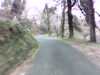 20140420-PICT0452-frame0001.jpg
