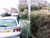 20140420-PICT0513-frame0001.jpg