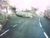 20140420-PICT0585-frame0002.jpg