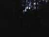 20140524-IMAG0010-frame0001.jpg