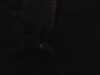 20140524-IMAG0010-frame0005.jpg