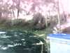 2014-07-08:
