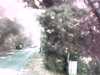 20140708-PICT0226-frame0002.jpg