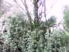 20140713-PICT0007-frame0001.jpg