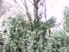 20140713-PICT0007-frame0002.jpg