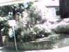 20140716-PICT0160-frame0001.jpg