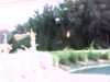 20140716-PICT0227-frame0002.jpg