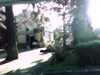 20140716-PICT0228-frame0001.jpg