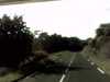 20140717-PICT0313-frame0001.jpg