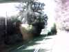20140717-PICT0315-frame0001.jpg