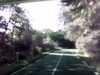 20140717-PICT0320-frame0002.jpg