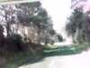 20140717-PICT0332-frame0001.jpg
