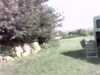 20140718-PICT0031-frame0001.jpg