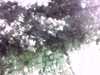 20140718-PICT0031-frame0002.jpg