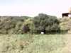 20140718-PICT0362-frame0002.jpg