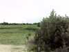 20140718-PICT0367-frame0001.jpg