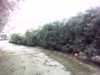 20140719-PICT0139-frame0001.jpg