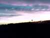 20140808-PICT0061-frame0001.jpg