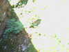 2014-08-22:DroneCam
