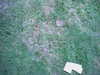 20140822-REC001-frame0002.jpg