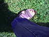 20140822-REC001-frame0003.jpg