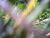 20140822-REC001-frame0004.jpg
