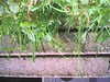 20140822-REC002-frame0001.jpg