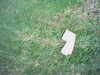 20140822-REC002-frame0002.jpg
