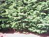20140822-REC002-frame0003.jpg