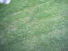 20140824-REC000-frame0002.jpg