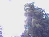 20140824-REC000-frame0006.jpg