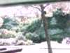 20140921-PICT0295-frame0002.jpg