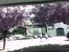 20140921-PICT0298-frame0001.jpg