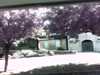20140921-PICT0298-frame0002.jpg