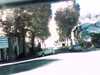 20140922-PICT0308-frame0001.jpg