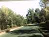 20140922-PICT0348-frame0002.jpg