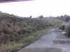 20140924-PICT0132-frame0002.jpg