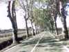 20140925-PICT0141-frame0002.jpg