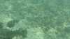 2014-09-26:port pin
