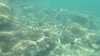 20140926-00000-frame0004.jpg