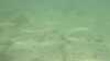20140926-00000-frame0005.jpg